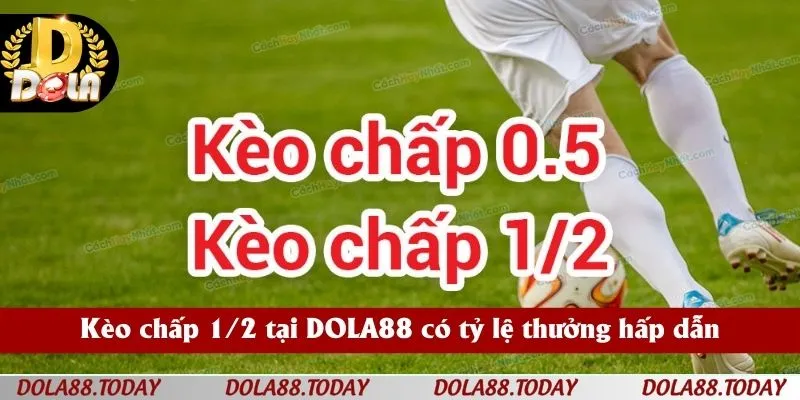 Kèo chấp ½ tại DOLA88 có tỷ lệ thưởng hấp dẫn